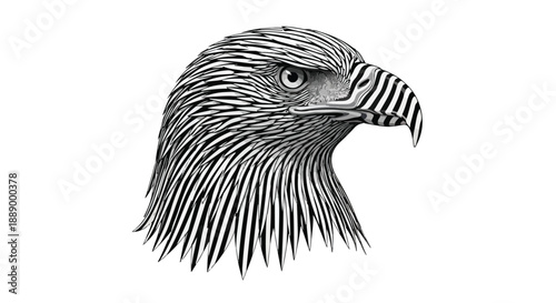 Close-up illustration of an eagle's head in profile with detailed feathers on a white background.