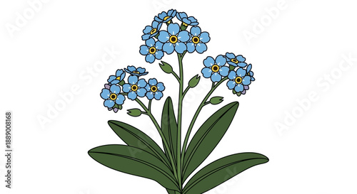 Delicate Blue Forget-Me-Not Flowers with Green Leaves, Charming Flat Vector Illustration
