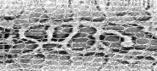 Snakeskin pattern imitation. Lines and spots structural texture. Cool and artsy faux leather background. Abstract vector illustration. Black isolated on white. EPS10
