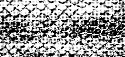 Snakeskin pattern imitation. Lines and spots structural texture. Cool and artsy faux leather background. Abstract vector illustration. Black isolated on white. EPS10