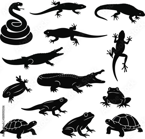 A vector illustration of abstract black animal icons featuring a collection of reptiles and amphibians, including a snake, lizards, crocodile, alligator, frogs, and turtle on a white