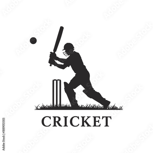 Silhouette of a cricket batsman hitting a ball near the wickets on a grassy field