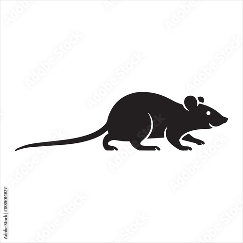 Black silhouette of a rodent with a long tail walking on a white background mouse animal
