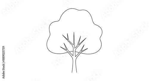 Simple outline drawing of a deciduous tree with a bushy canopy and visible branches against a white background.