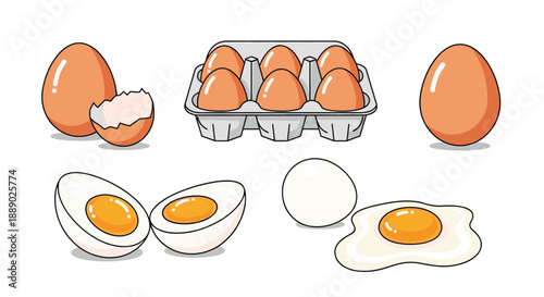 Collection of different egg preparations including whole eggs in a carton boiled halves and a fresh fried egg.