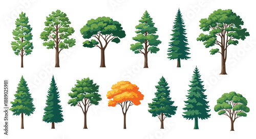 Large set of various tree species including deciduous and coniferous types with one orange autumn tree for forest landscape designs.