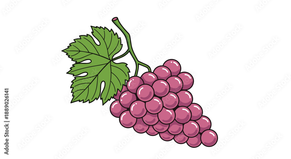 Fototapeta premium Large bunch of ripe purple grapes with a green leaf and vine stem illustrated in a detailed cartoon style for food designs.