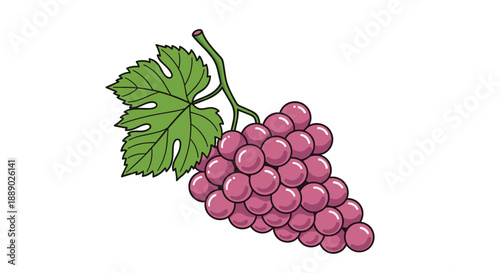 Large bunch of ripe purple grapes with a green leaf and vine stem illustrated in a detailed cartoon style for food designs.