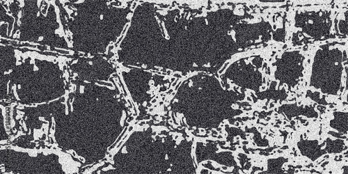 Detailed grayscale abstract texture resembling cracked earth or a network of veins with granular noise and organic interconnected lines forming a complex surface pattern