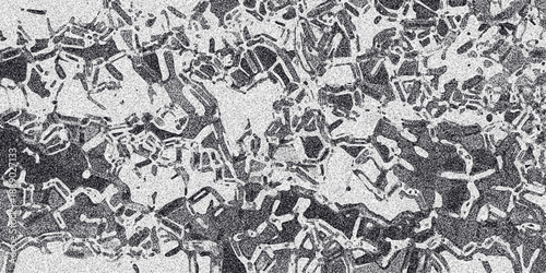 Intricate network of interconnected organic shapes in grayscale with a subtle grainy texture, resembling cellular structures or abstract biological patterns for scientific or artistic backgrounds