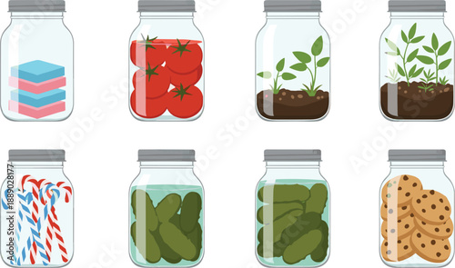 Glass jars with food storage and plant growing vector set for kitchen and home use