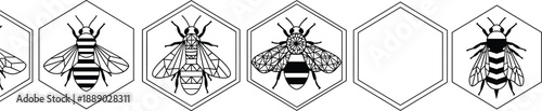 Black and white vector line art illustration set of various honey bee species inside geometric hexagonal honeycomb frames for nature and apiculture design