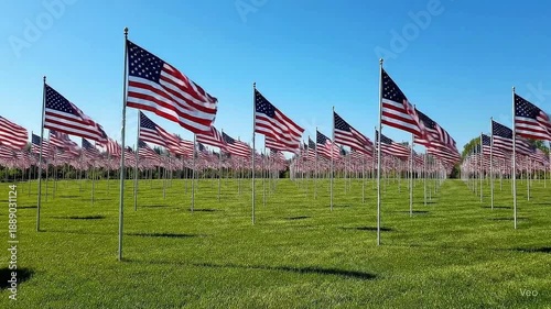 American Flags Waving on Green Field in Sunny Day