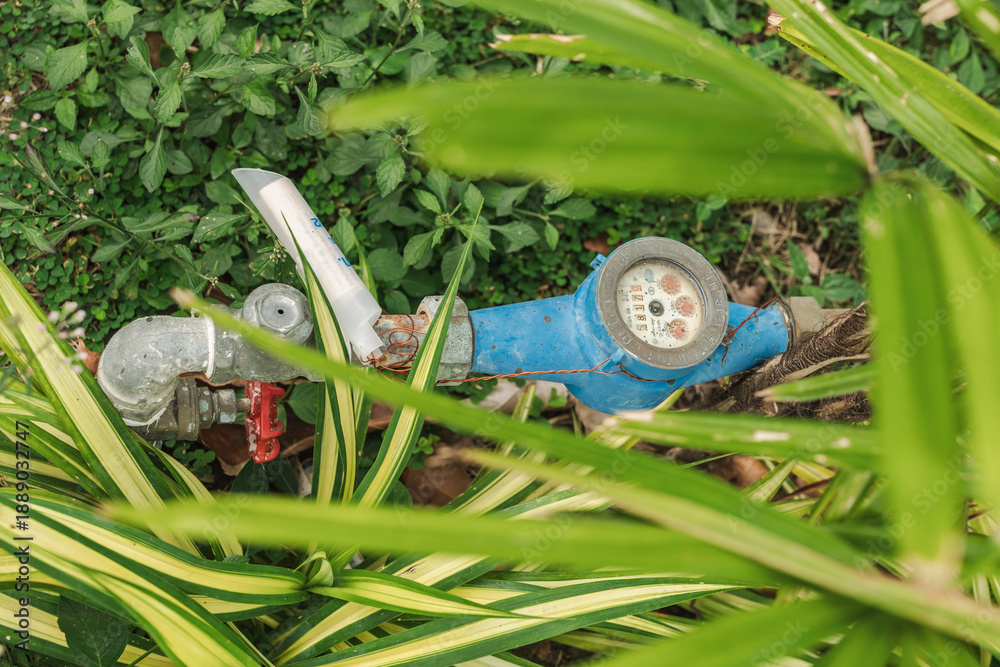 Fototapeta premium Water meter and metal pipe with red valve hidden in tropical garden vegetation in Thailand showing household water supply and utility connection in outdoor environment