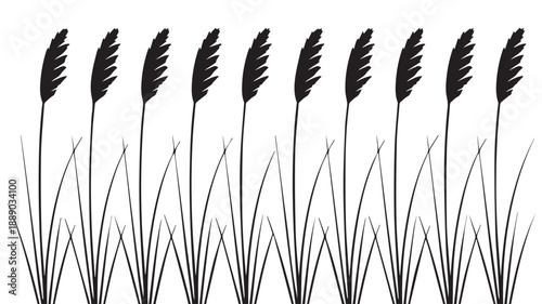 A row of stylized black and white reeds or tall grass in a minimalist illustration