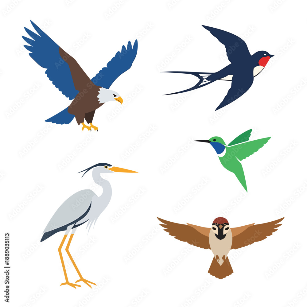 Obraz premium Collection of Colorful Bird Silhouettes