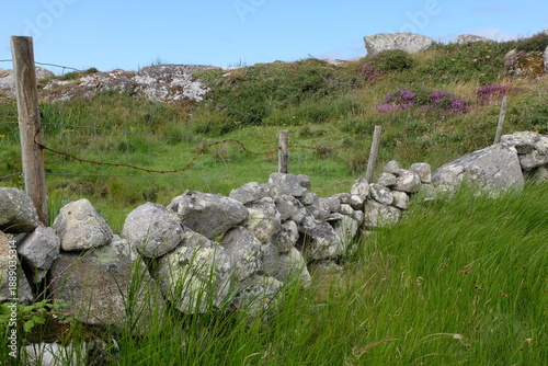 Landes irlandaises - Connemara - Champs et murets