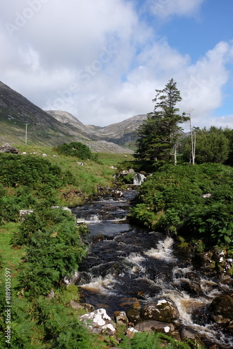 Ruisseau - Campagne irlandaise - Connemarra