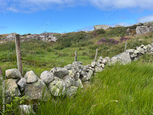 Champs et muret de pierre - lande irlandaise