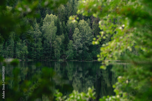 Calm forest lake in northern taiga framed by green leaves. Peaceful forest lake surrounded by dense northern taiga, framed by green leaves in the foreground. Calm water reflects trees, creating a tran