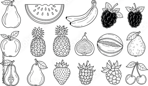A black and white illustration of various fruits isolated on transparent background