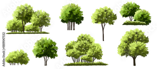  Vector watercolor green  tree or forest side view isolated on white background for landscape and architecture drawing,elements for environment or and garden,Shrub for section