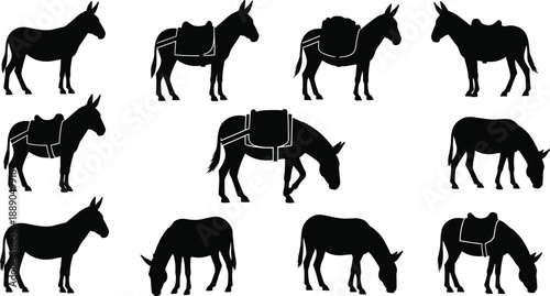 Donkey silhouettes collection in different poses, pack animal with saddlebags, farm and rural livestock icons set, black mule illustrations isolated on white background