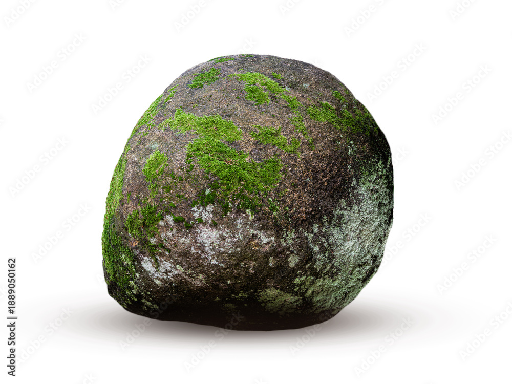 Fototapeta premium round stone overgrown with moss isolated on white background