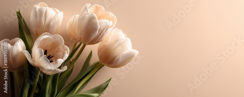 This stunning bouquet of vibrant tulips is elegantly presented against a soft beige background. Theres ample space on the left side, making it ideal for incorporating design elements or personalized t
