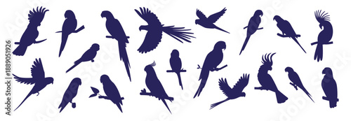Parrot silhouette. Macaw bird, flying parakeet pet or exotic jungle cockatiel. Caribbean, Brazil ara feather drawing, nature black objects for logo and emblems. Vector isolated icons set