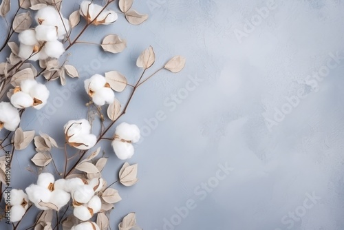 Delicate composition featuring cotton flowers and dried eucalyptus leaves arranged on a textured blue background, providing ample copy space