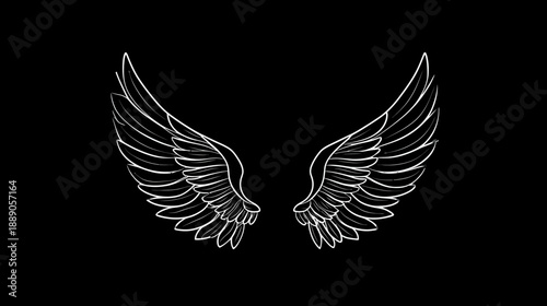 Elegant white outline angelic wings graphic illustration on black background, symbolizing freedom, spirituality, dreams, and purity