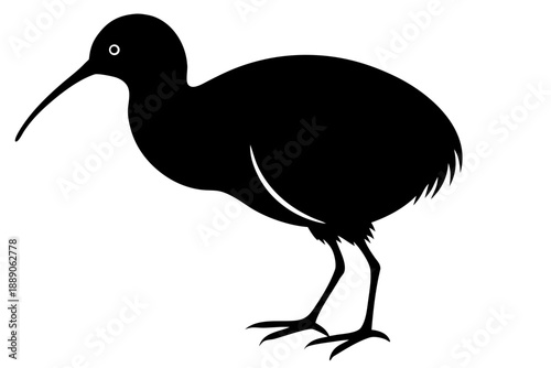 Ibis Bird Silhouette Isolated on White Background
