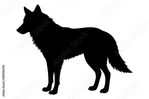 wolf vector illustration, wolf  silhouette vector, Wild Wolf Silhouette Icon