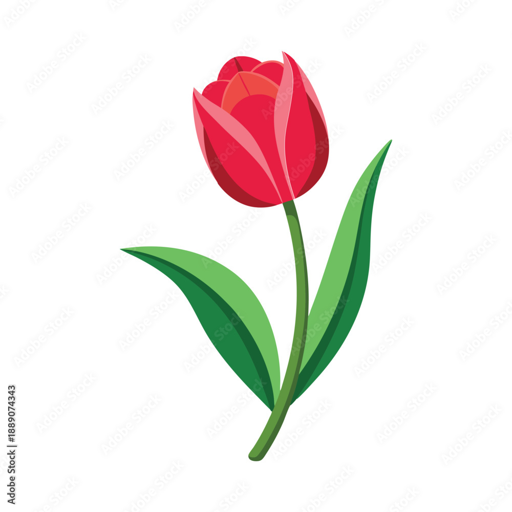 Fototapeta premium Red Tulip Flower Flat Vector Design on White Background