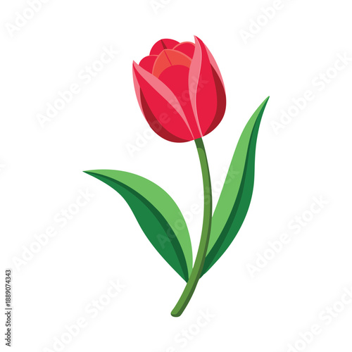 Red Tulip Flower Flat Vector Design on White Background
