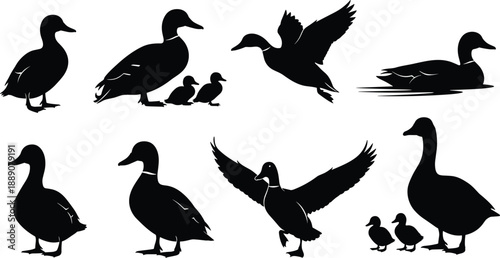 Black silhouette duck and goose icon set showing flying, swimming, standing, and family wildlife poses isolated on white background vector illustration