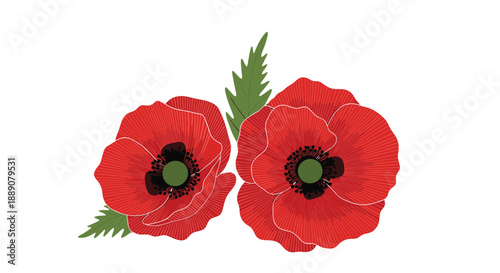 Beautiful hand drawn illustration of two vibrant red poppy flowers with green leaves isolated on a white background.