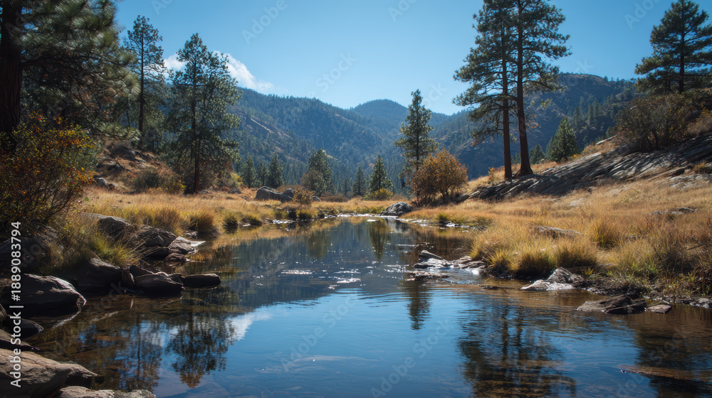 Obraz premium Mountain Stream in a Sunlit Forest