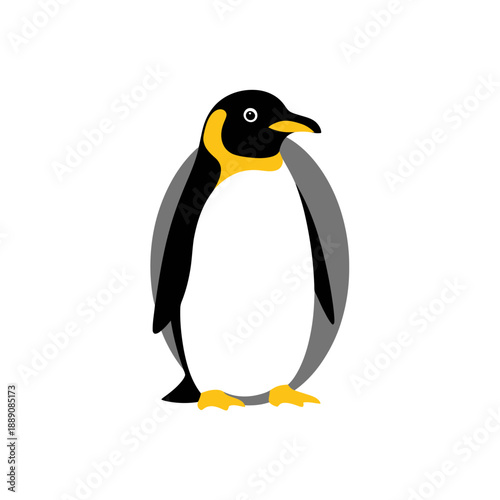 Stylish penguin illustration on white background