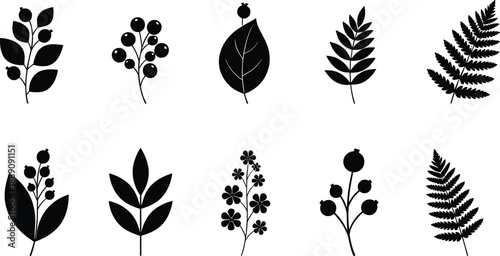 Leaf and botanical silhouette icon set with branches berries and fern foliage for nature garden designs