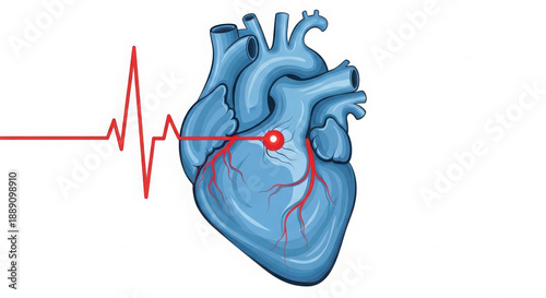 Wallpaper Mural 3D human heart with ECG heartbeat medical illustration Torontodigital.ca