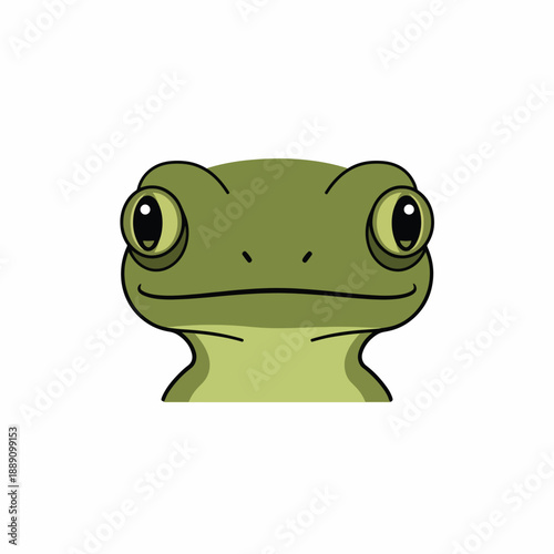 Cartoon Frog Face