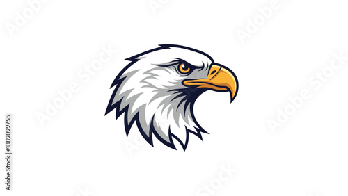 Eagle head illustration with an intense gaze representing power and strength for a professional sports team or company mascot.