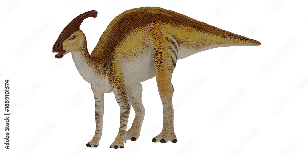 Fototapeta premium Realistic parasaurolophus dinosaur model.