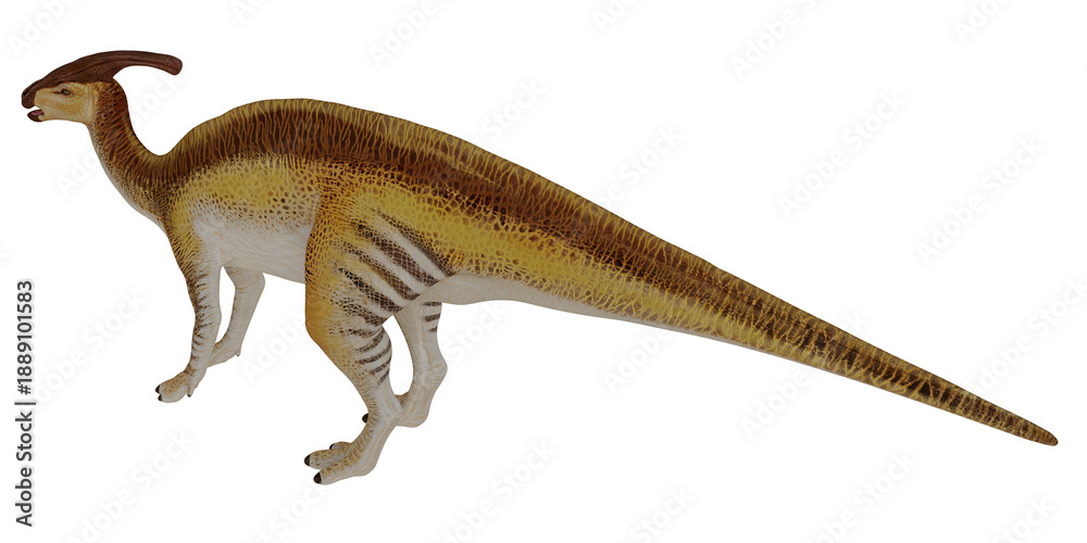 Obraz premium Model of a Parasaurolophus dinosaur on white background.