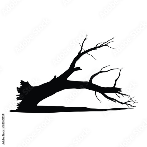 A stark silhouette of a fallen tree branch against a white background