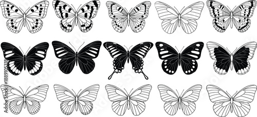 Butterfly silhouette and outline vector set with decorative insect wings in black and white tattoo style design