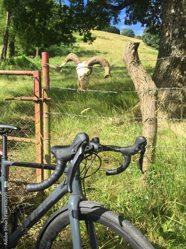 Vélo de randonnée dans le Pays Basque français