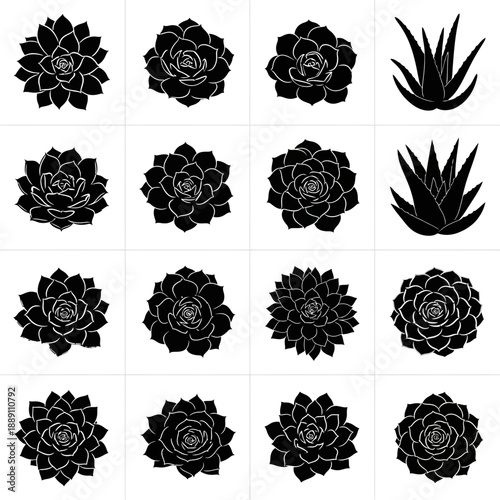 Black succulent and aloe vera plant vector icons set, echeveria and agave silhouette collection, isolated on white